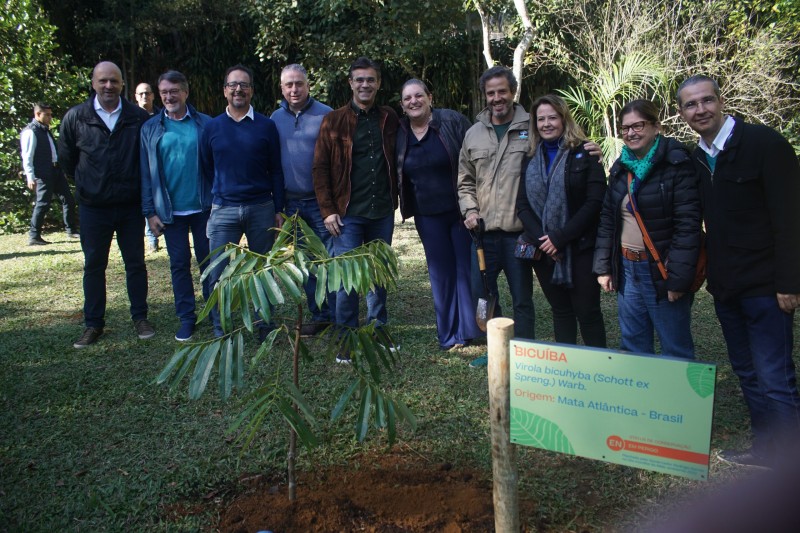 Governo combate madeira ilegal e firma parceria para neutralizar emissões de carbono
