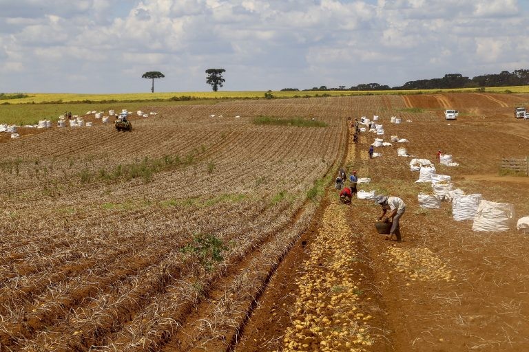 Sancionada com vetos lei que facilita captação de recursos para o setor rural