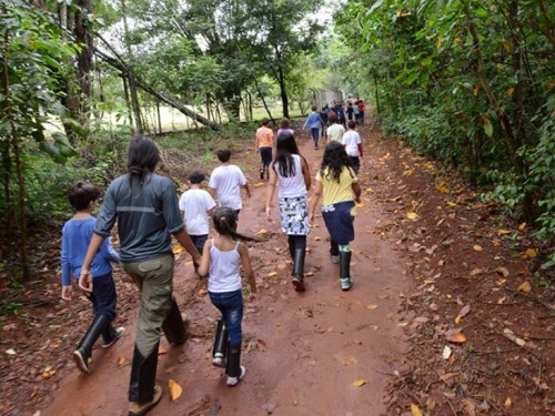 Inscrições para visitação em Santa Genebra começam nesta quarta-feira