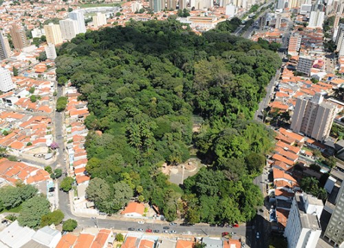 Bosque dos Jequitibás reinicia projetos neste fim de semana