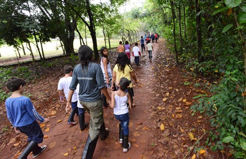 Ecoférias na Mata começa nesta quarta-feira