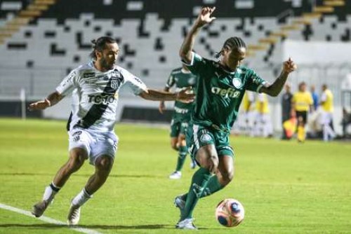 Macaca sofre derrota contra o Palmeiras