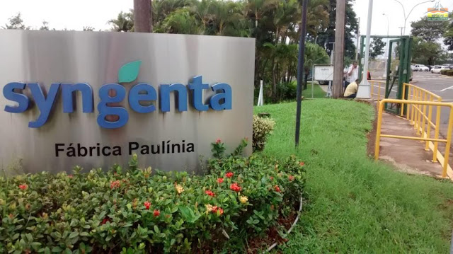Agrotóxicos: multinacional de Paulínia ensina por escrito como burlar o Ibama