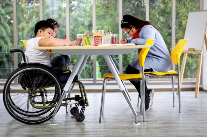 Comissão debate educação de crianças com deficiência em escolas regulares