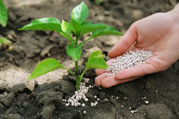Comissão da transição energética debate produção de fertilizantes