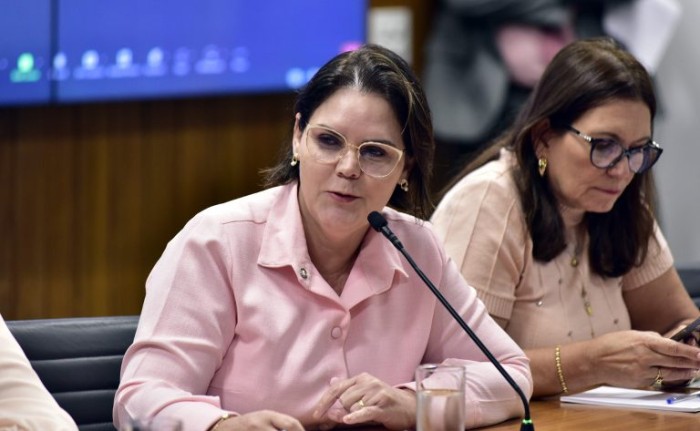 Comissão de Agricultura vai debater área indígena demarcada em MT e PA