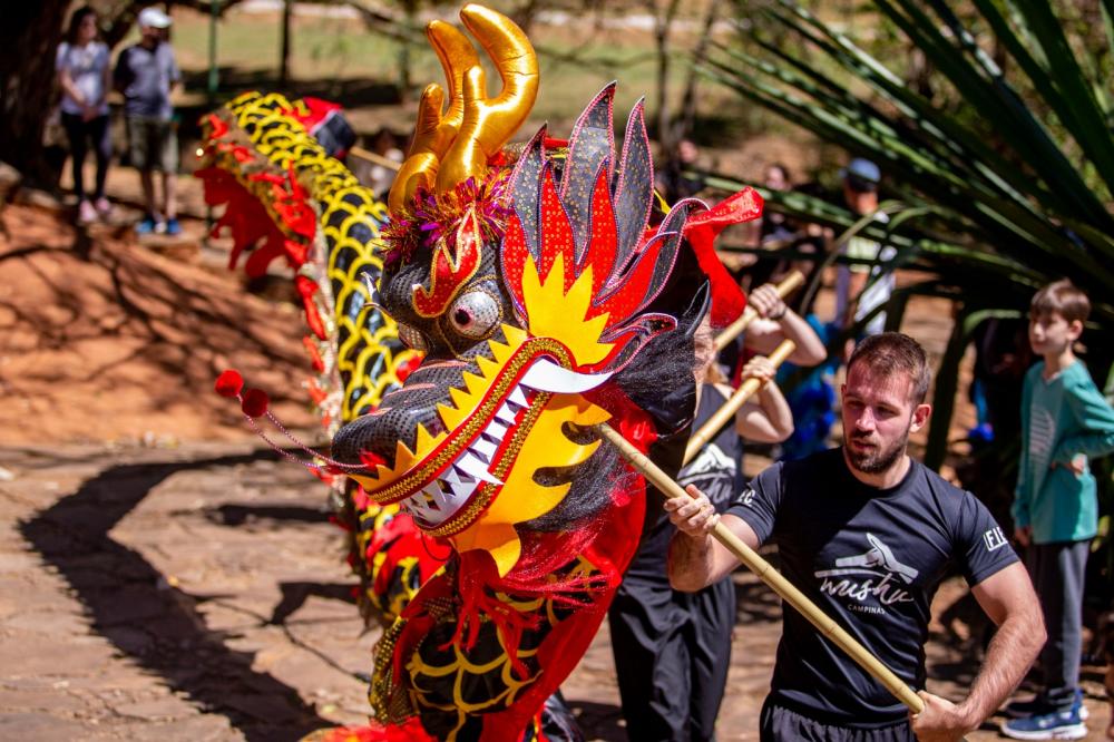 Festival da Lua volta à Campinas após sucesso da primeira edição