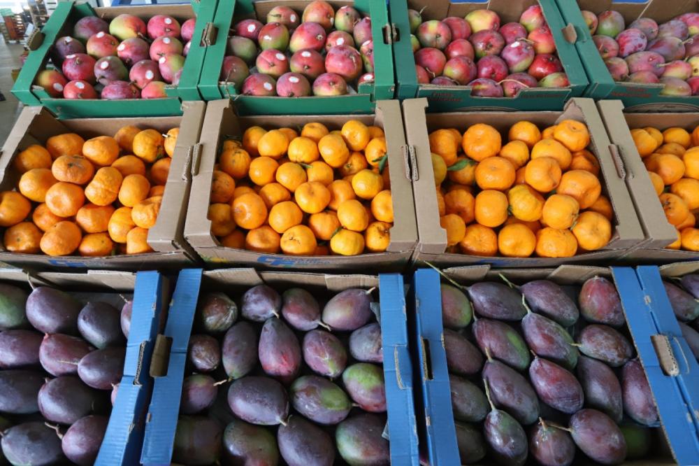 Comeu muito no final de ano? Veja dicas de uma nutricionista para eliminar as toxinas do corpo