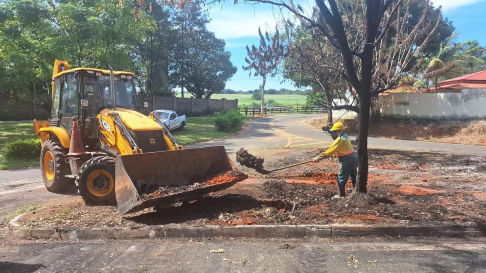 Paulínia realiza mutirão de limpeza no Parque da Represa 