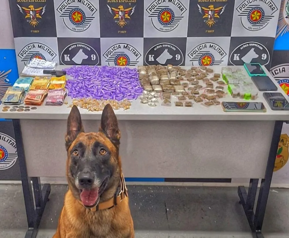 Cachorro do Baep localiza casa com drogas escondidas até na churrasqueira
