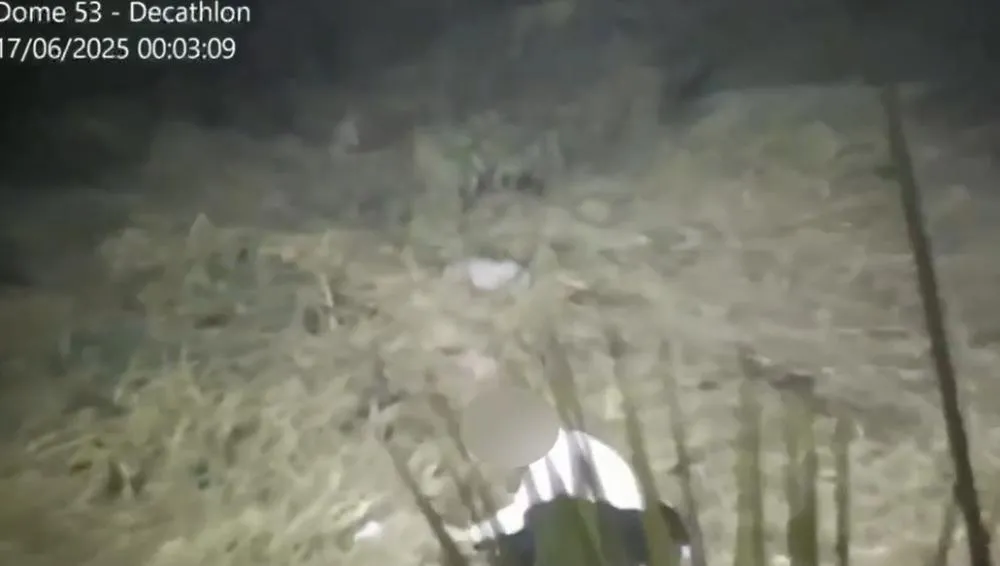 Homem é preso por colocar fogo em área de mata em Campinas; assista ao vídeo