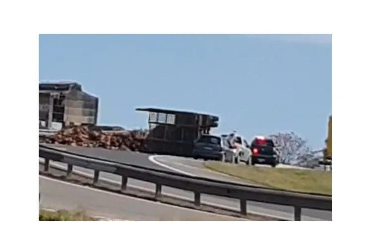 Caminhão com carga de madeiras tomba na SP-342, em Mogi Guaçu