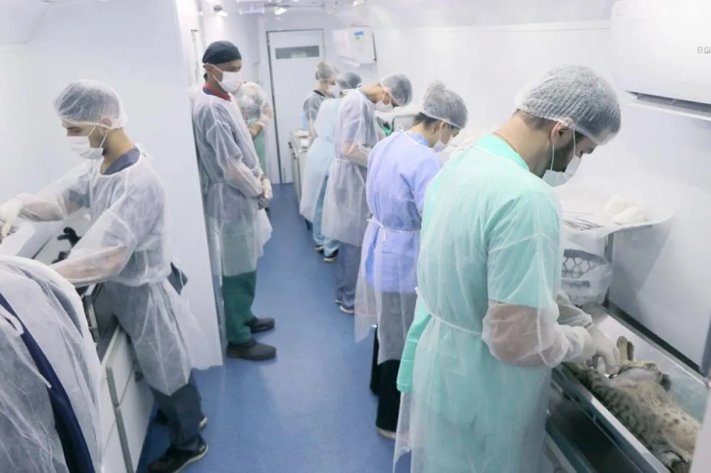 Campinas: castramóvel no Parque Oziel ainda tem 200 vagas para próxima segunda-feira