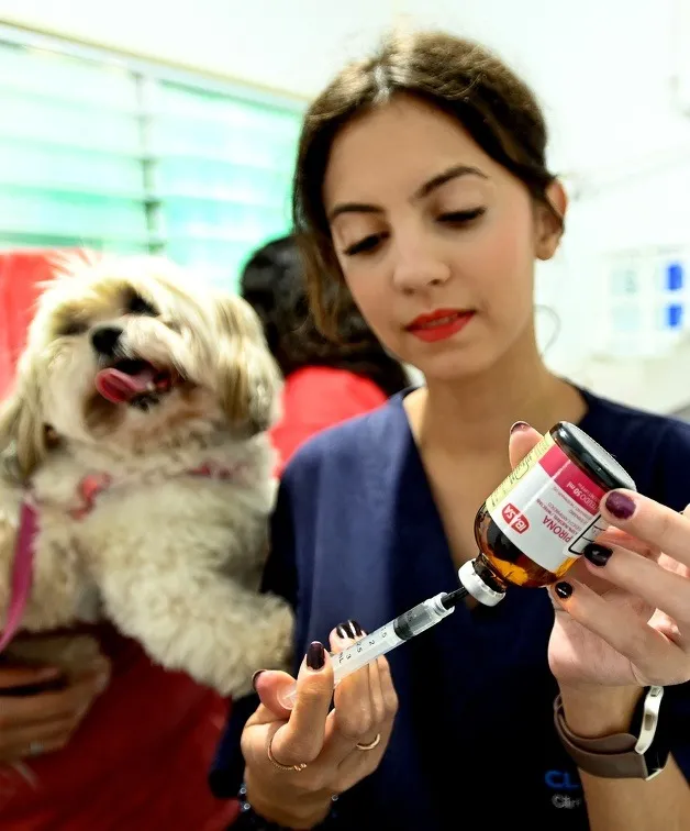  Consultórios veterinários móveis de Campinas atendem gratuitamente neste sábado em Sousas e Vila Boa Vista