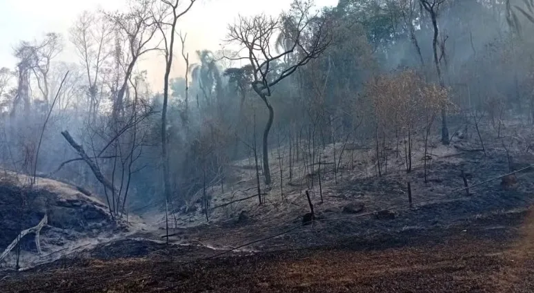  Incêndio atinge área de mata em Valinhos