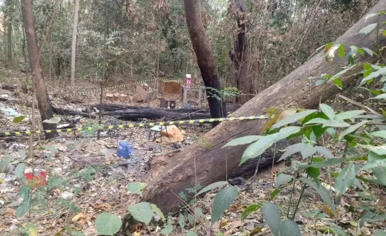 Guarda encontra ossada humana em área de mata em Jaguariúna