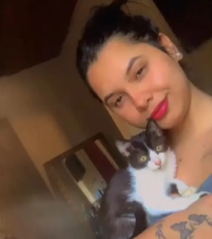 Após castrações da Prefeitura de Mogi Guaçu, sete gatos morrem e situação vira caso de polícia