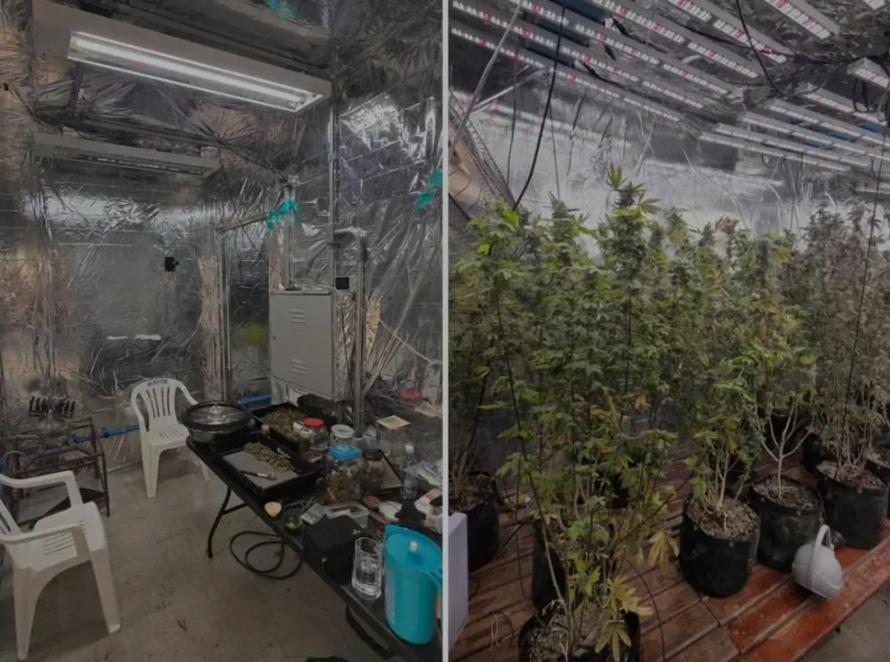 Polícia apreende 17 quilos de maconha e prende dois suspeitos em Mogi Guaçu