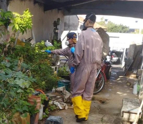 Sumaré alerta para aumento de casos de dengue com início do período de chuvas