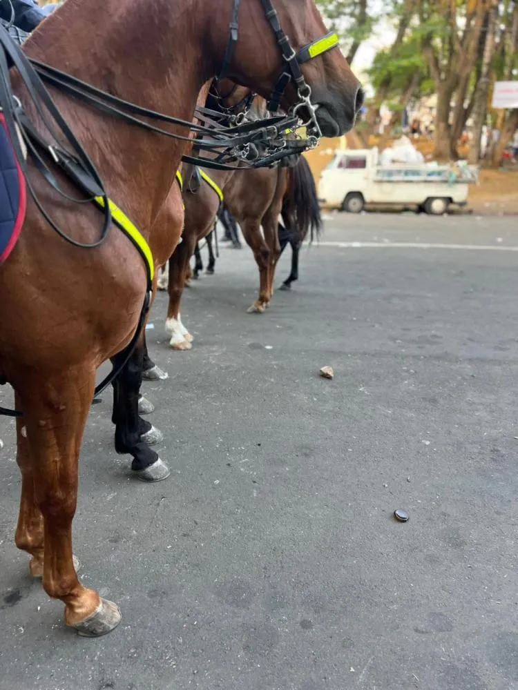 Final Série C: confusão em Campinas termina com policial ferido e uso de força policial