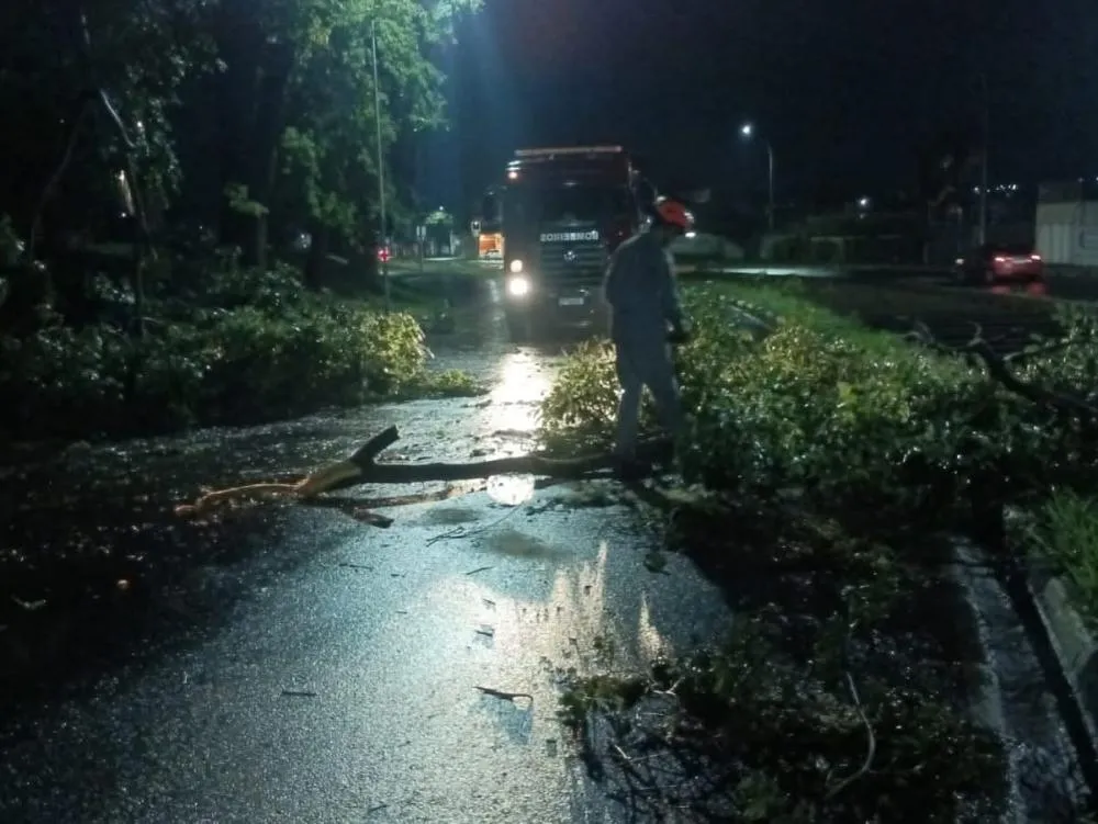 Chuva intensa derruba árvores e interdita Avenida dos Trabalhadores em Mogi Guaçu