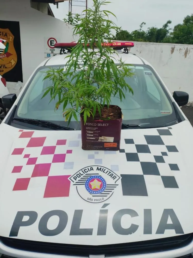 Foragido da justiça é recapturado após tentativa de furto e fuga por telhados no Boa Esperança, em Itapira