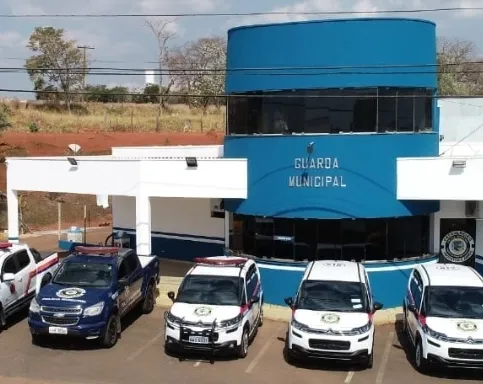 Polícia investiga mortes de cães e gato por possível envenenamento na região