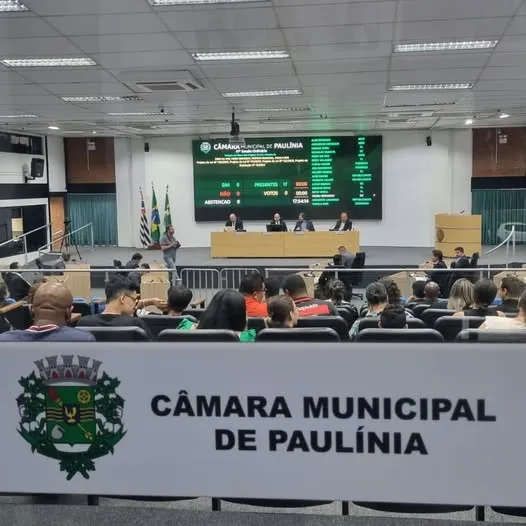 Câmara de Paulínia aprova mudanças no Conselho de Educação e bolsa para atletas