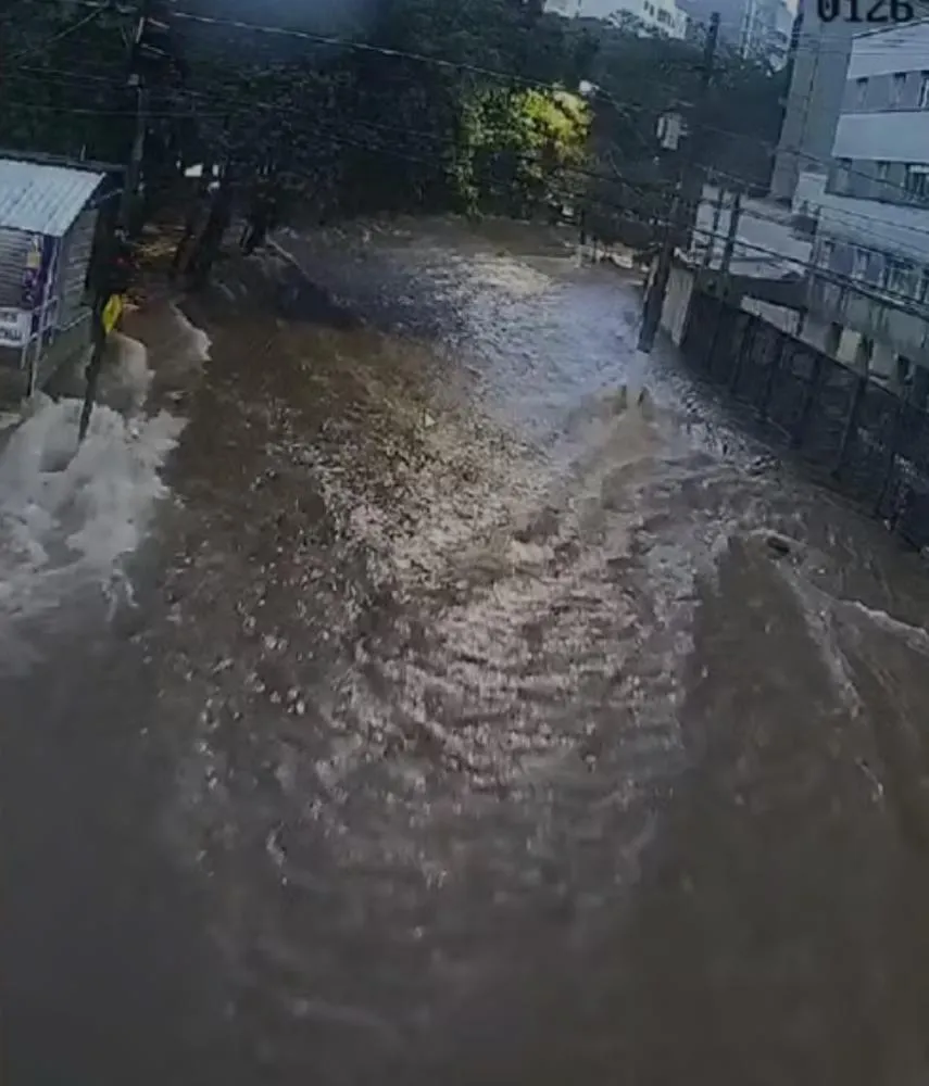Chuva forte derruba árvores e causa alagamentos em diversos bairros de Campinas