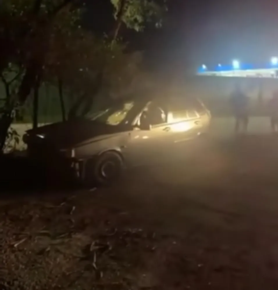 Motorista perde controle, invade empresa de Paulínia e só para ao colidir em árvore