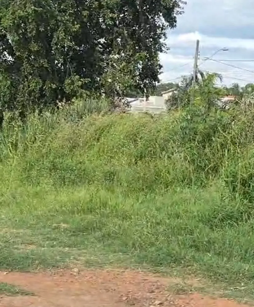 Mogi Guaçu abandonada: moradora grava vídeo e mostra bairro com lixo e mato alto; assista