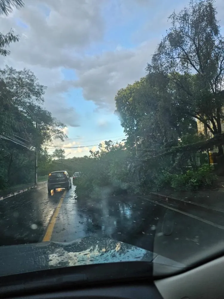 Ventos de 60 km/h causam destruição e interditam ruas em Mogi Mirim