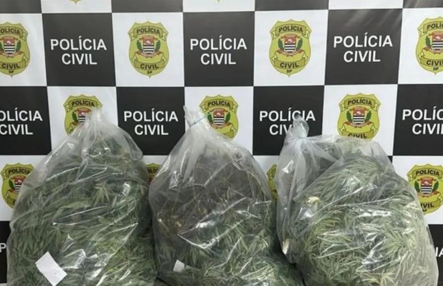 Polícia Civil apreende 18 quilos de maconha e prende suspeito em Mogi Guaçu