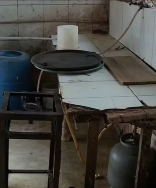 DIG interdita abatedouro ilegal de aves em Hortolândia; local tinha até urubu