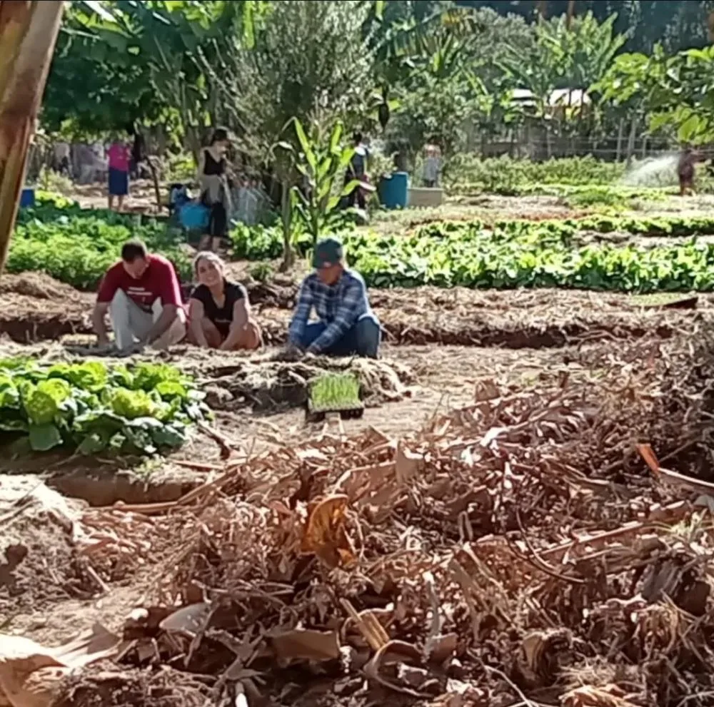 Ministro anuncia compra de terrenos em Valinhos para assentar 1 mil famílias do MST