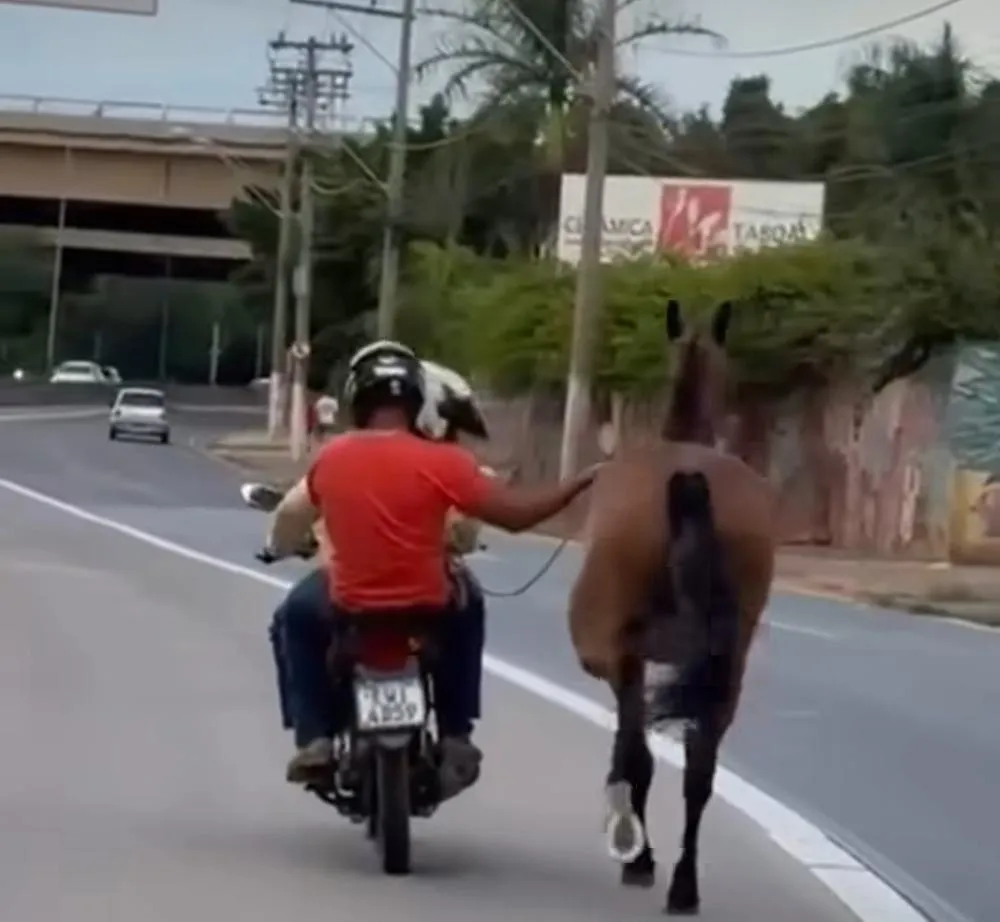Cavalo é arrastado por motociclista em via movimentada de Campinas