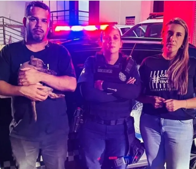 Homem é detido após agredir cachorro com barra de ferro em Nova Odessa