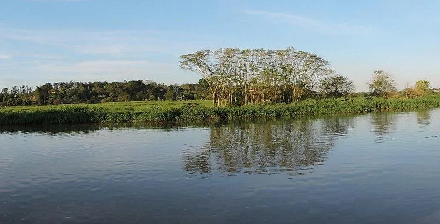 Corpo de homem é encontrado boiando no Mini-Pantanal, em Paulínia