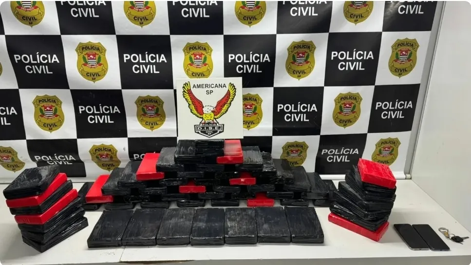 Polícia apreende R$ 1,8 milhão em cocaína camuflada em minério de ferro