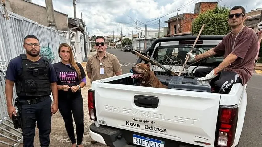 Pitbull é resgatado em situação de maus-tratos em Nova Odessa