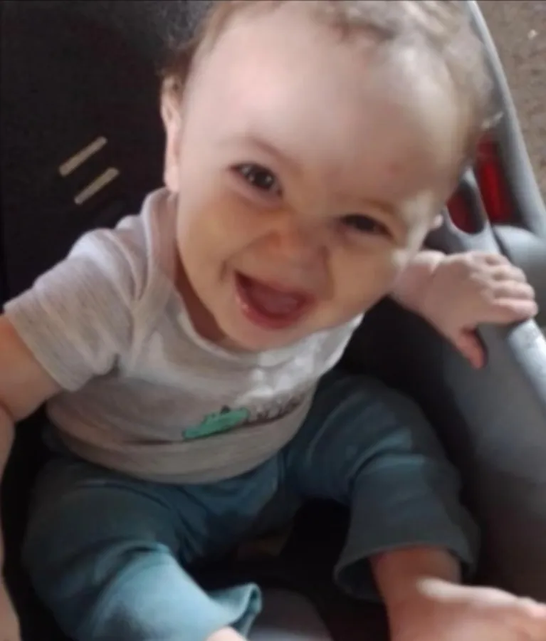 Caso de bebê morta por pitbull em Socorro: polícia investiga maus-tratos