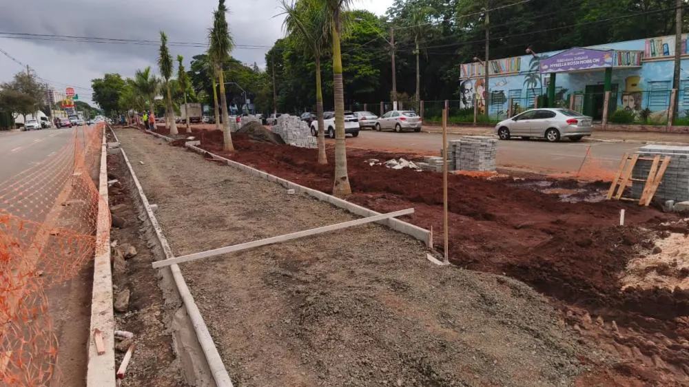 Prefeitura de Sumaré multa empresa em quase R$ 7 mil por corte ilegal de árvores