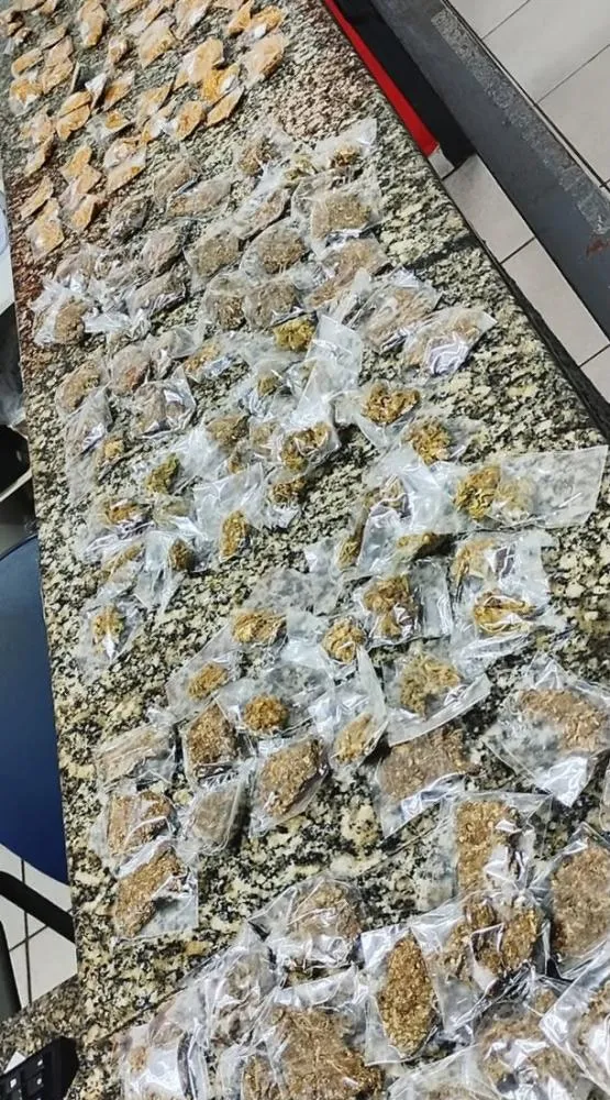 Polícia Militar apreende 168 porções de drogas em Pedreira