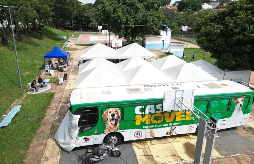 Campinas abre 1,5 mil vagas para castração e microchipagem gratuita de cães e gatos