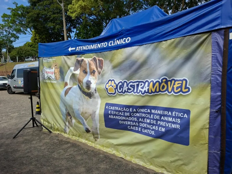 Valinhos abre inscrições para vagas remanescentes de mutirão de castração gratuita