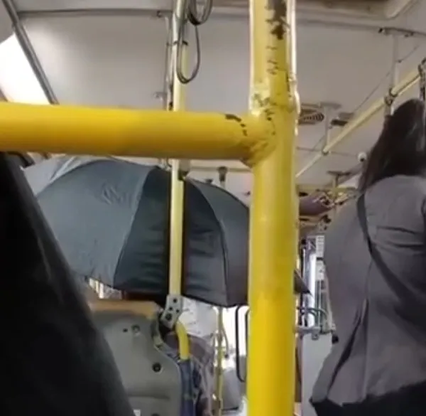 Passageira com guarda-chuvas para não se molhar dentro de coletivo do transporte público de Campinas (Crédito: Barba Azul)