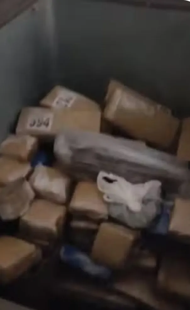 Drogas foram apreendidas (Crédito: Divulgação)