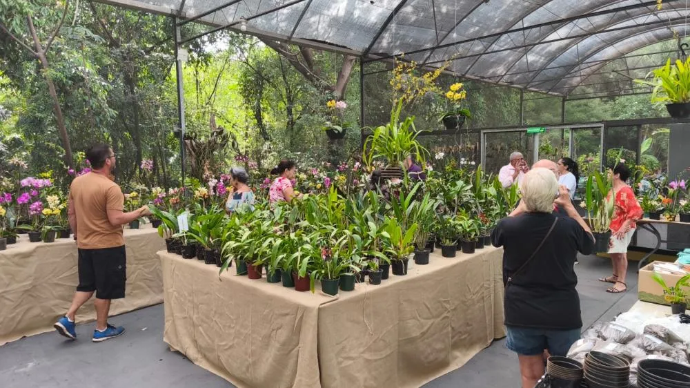 Sumaré abre inscrições para expositores da 22ª Mostra e Venda de Orquídeas