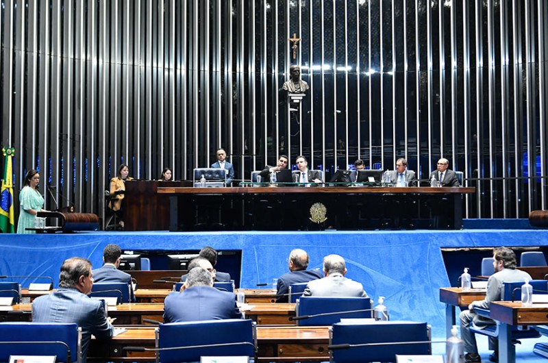 Serviço civil voluntário está na pauta do Plenário