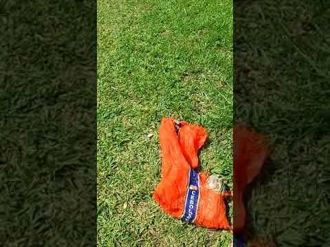 Homem quebra vidros de carros em Santo Antonio de Posse